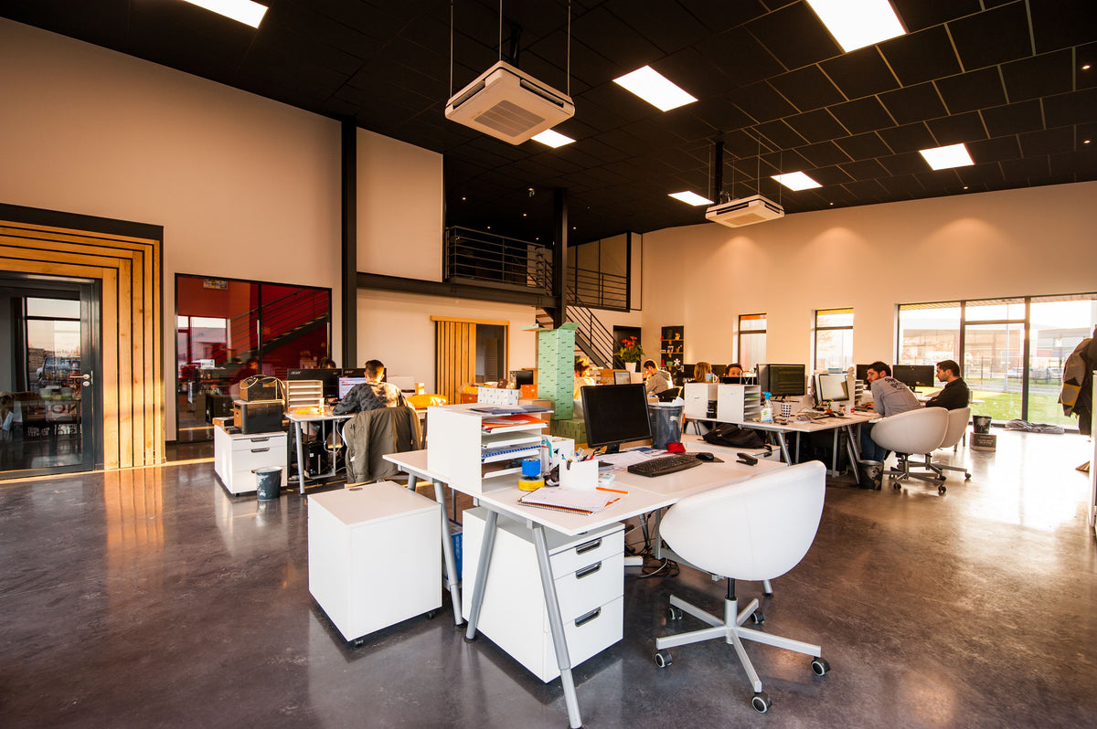 Entorno de trabajo VIACXES